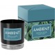 Ambient scented candle in glass, pack of 6 pieces