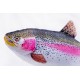 Rainbow trout plush pillow for kids, 62cm