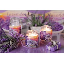 Lavender Fields 430 g sleeved collective packaging of 12